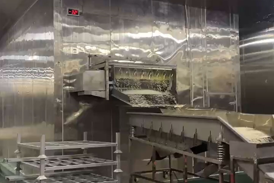 O companie alimentară din provincia Fujian dezvoltă un proiect de tunel de congelare rapidă.