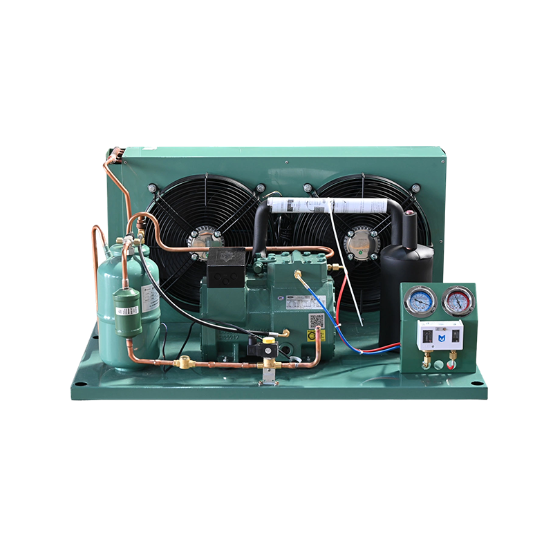 Bitzer Unitate de condensare răcită cu apă cu șurub la temperatură joasă
